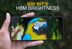 HP Baterai Besar Terbaik Mei 2026, Poco X8 Pro Max Jadi Raja dengan 8.500 mAh