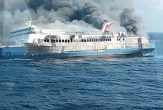 KMP Mutiara Sentosa II Terbakar, Penumpang Lompat ke Laut, Evakuasi Libatkan Sejumlah Kapal