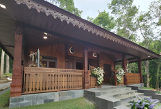 UB Resmikan Stasiun Riset Kehutanan Terpadu, Dorong Kolaborasi Riset dan Pelestarian Lingkungan Berkelanjutan