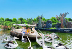 River Adventure Batu Secret Zoo, Wahana Susur Sungai yang Jadi Penutup Seru Wisata di Jatim Park 2