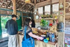 Angkringan Si Acil Batu, Nongkrong Adem di Tengah Sawah dengan Nasi Bakar Mulai Rp10 Ribu