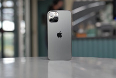 Kamera iPhone 12 Pro Masih Bisa Bersaing pada 2026? Ini Hasil Foto, Video, dan Fakta yang Perlu Diketahui