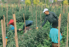 ‎Krisis Regenerasi Petani Jadi PR Besar, Pemkot Batu Dorong Anak Muda Mau Bertani
