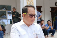 Adhy Karyono Sebut 99 Persen Karhutla di Jatim Akibat Ulah Manusia, Minta Penegakan Hukum