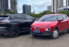 Sewa Baterai EV Bisa Bikin Harga Mobil Listrik Rp100 Jutaan, Mampukah Geser Dominasi LCGC?