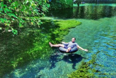 Pesona Keindahan Bawah Air Sumber Sira, Magnet Wisata Alam Murah Meriah di Malang