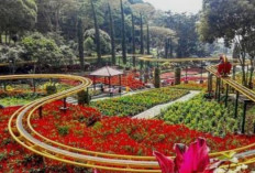 Selecta dan MikuTopia Hadirkan Ekosistem Wisata Terintegrasi di Kota Batu