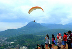 Puncak Gunung Banyak: Sensasi Healing Melayang Bebas dengan Tandem Paralayang Kota Batu
