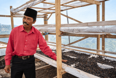 Bukan Cuma Pesugihan, Lereng Gunung Kawi Malang Juga Hasilkan Kopi Bercita Rasa Buah