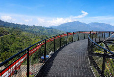 Bromo-Semeru 8°C, Ombak Malang Selatan 2,2 Meter, Karhutla Pujon Jadi Perhatian