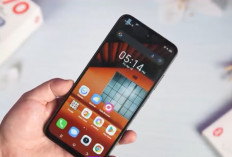 Rekomendasi HP 1 Jutaan Terbaik 2026, Ini 10 Pilihan Paling Worth It untuk Gaming hingga Kamera