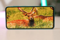 Samsung Galaxy F70 Pro Andalkan Baterai 6.000 mAh dan Update Android 6 Generasi
