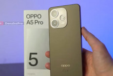 7 HP Oppo Snapdragon Paling Murah 2026, Harga Mulai Rp1 Jutaan dengan Baterai Jumbo