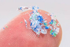 Benarkah Sikat Gigi Plastik Melepaskan Mikroplastik? Ini Penjelasan Ilmiahnya