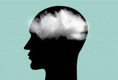 Jangan Diabaikan! Brain Fog Bisa Ganggu Daya Ingat dan Konsentrasi, Ini Solusinya