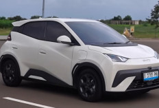 BYD Atto 1 Setelah 5.000 Km: Irit dan Kaya Fitur, Tapi AC serta Suspensinya Dikeluhkan