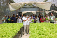 Nurochman Kaji Smart Integrated Farming di Jateng, Jadi Acuan Pertanian Modern Kota Batu