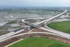 4 Tol Fungsional Dibuka Gratis untuk Arus Mudik Lebaran 2026, Ada Tol Probolinggo-Banyuwangi! 