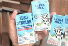 Kepala BPOM Tanggapi Viral Susu UHT Rekombinasi untuk MBG: Yang Penting Aman, Bergizi, dan Bermutu