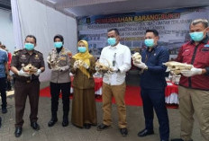 Jual Tengkorak Satwa Dilindungi via Facebook, Barang Bukti Dibakar Kejari Kota Malang