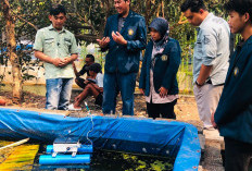 Robot Apung AQUILA UB Pantau Kualitas Air Kolam Ikan Cupang di Kediri secara Real Time