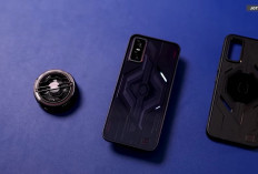 5 HP Flagship Killer RAM 12GB 512GB Terbaik 2026, Spek Dewa Harga Masih Masuk Akal