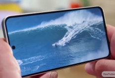 Rekomendasi HP Samsung RAM 8/256 GB Terbaik 2026: Spek Gahar, Harga Bervariasi
