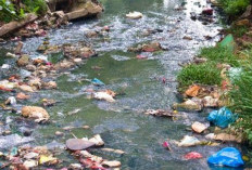 3 Ton Sampah Terkumpul di Sungai Metro Malang, Gerakan Ngalam Ricik Libatkan Masyarakat