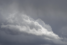 Cuaca 3 Januari, Hujan Masih Potensi Guyur Malang Raya Mulai Siang Hari