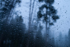 Malang Raya 24 Februari 2026 Hujan Ringan, Tetap Lebih Dingin, Batu dan Perairan Malang Selatan Angin Kencang