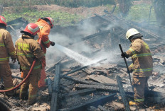 Kebakaran Peternakan Ayam di Kota Batu, Mesin Pemanas Diduga Overheat, Kerugian Rp600 Juta