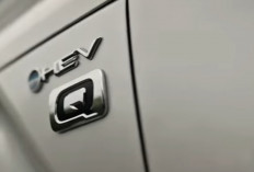 BYD M6 DM Lebih Irit, Tapi Selisih Harga Bikin Hitungannya Tak Sesederhana Itu