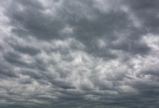 Cuaca Malang Raya 8 Maret: Mayoritas Hujan Ringan dan Berawan, BMKG Peringatkan Cuaca Ekstrem