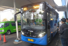 Ekspedisi 'Tradisi' Siap Sapa Malang Raya, Kirim Barang Jadi Lebih Praktis!