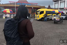 Damri Malang–Bromo Masih Jadi Favorit Backpacker, Simak Tarif dan Rutenya