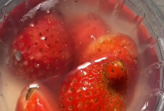 Puding MBG Diduga Berbelatung, Dapur SPPG Tulusrejo 2 Minta Maaf dan Janji Evaluasi Total