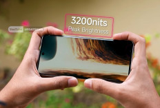 Daftar HP AMOLED Terbaik 2026: Redmi Note 15 5G, Poco X8 Pro hingga Oppo Reno 15F 5G Masuk