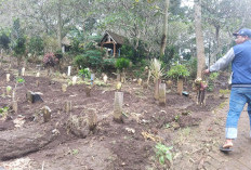 Gegara Juru Kunci Makam Pindah Puluhan Nisan, Warga Dusun Cembo Geger