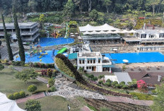 Libur Sekolah Dongkrak Wisata Kota Batu, Kunjungan Selecta Tembus 287 Ribu hingga Pertengahan Juli