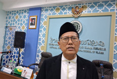 Viral Penjualan Menu Nonhalal Mi Berbahan Babi, Ini Respons Waketum MUI KH Cholil Nafis