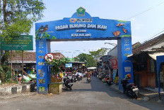 Jejak Historis Pasar Burung Splendid, Oase Satwa di Jantung Kota Malang