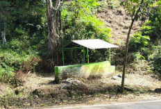 Misteri Makam Mbah Klemuk di Jalur Ekstrem Batu, Kisah Nenek Pedagang yang Melegenda