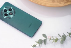 9 HP 5G RAM 12 GB Storage 512 GB, Harga Mulai Rp5 Jutaan dengan Spek Menggoda