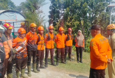 Kebakaran Gunung Butak Batu, 20 Personel BPBD Diterjunkan ke Petak 100 Pos 3