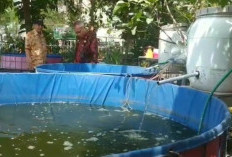 RT Berkelas di Malang Hasilkan Panen Lele, Warga Putar Keuntungan untuk Modal