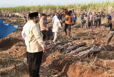 Panen Raya di Malang, Prabowo Tegaskan Ketahanan Pangan Fondasi Indonesia Emas 2045