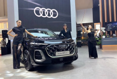 The New Audi Q5 Resmi Meluncur di GIIAS 2026, SUV Premium Terlaris Audi Dibanderol Rp1,725 Miliar