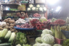 Harga Sayuran di Malang Naik, Tomat Tembus Rp12 Ribu per Kg hingga Kembang Kol Rp22 Ribu
