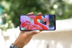 6 HP 1 Jutaan Terbaik Juni 2026, Samsung Galaxy A07 hingga Advan X1 Layak Diburu