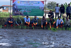 Produksi Padi Digenjot, Pemkot Malang Turunkan 10 Ton Benih untuk Petani